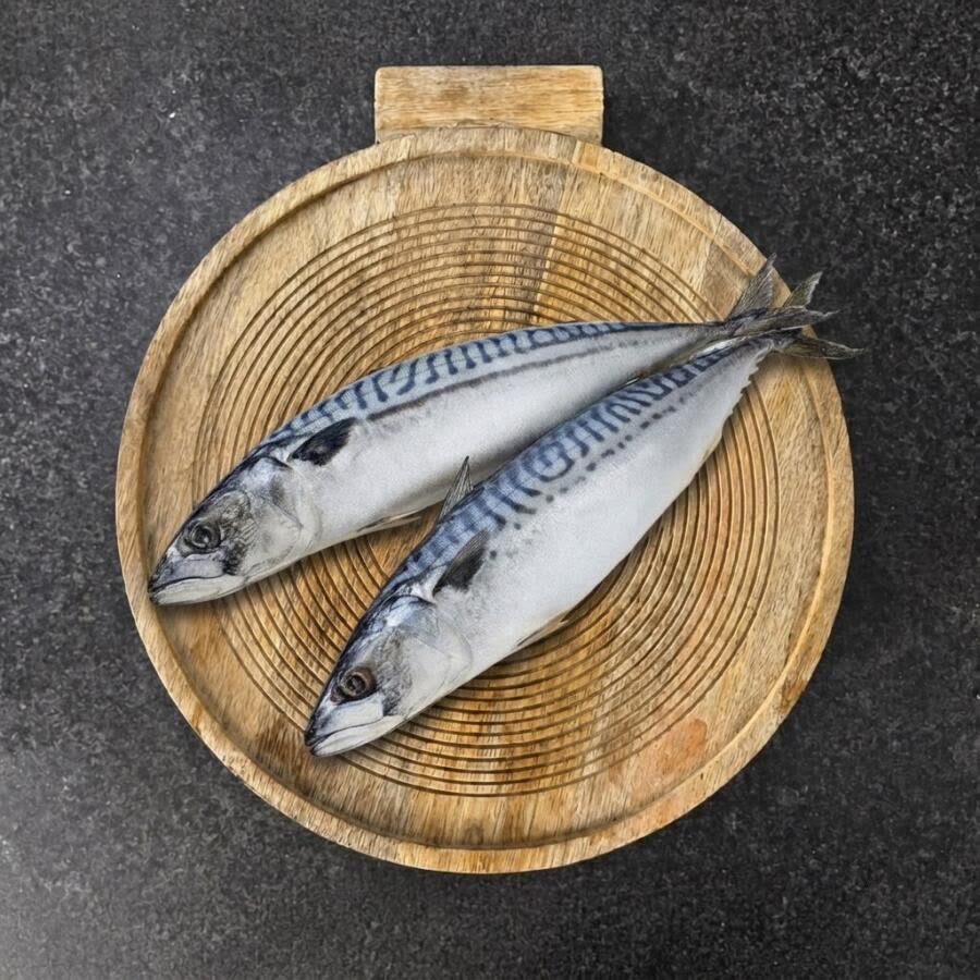 Скумбрия 400-600 НР, инд. заморозки, вес (1/10) (упаковка)